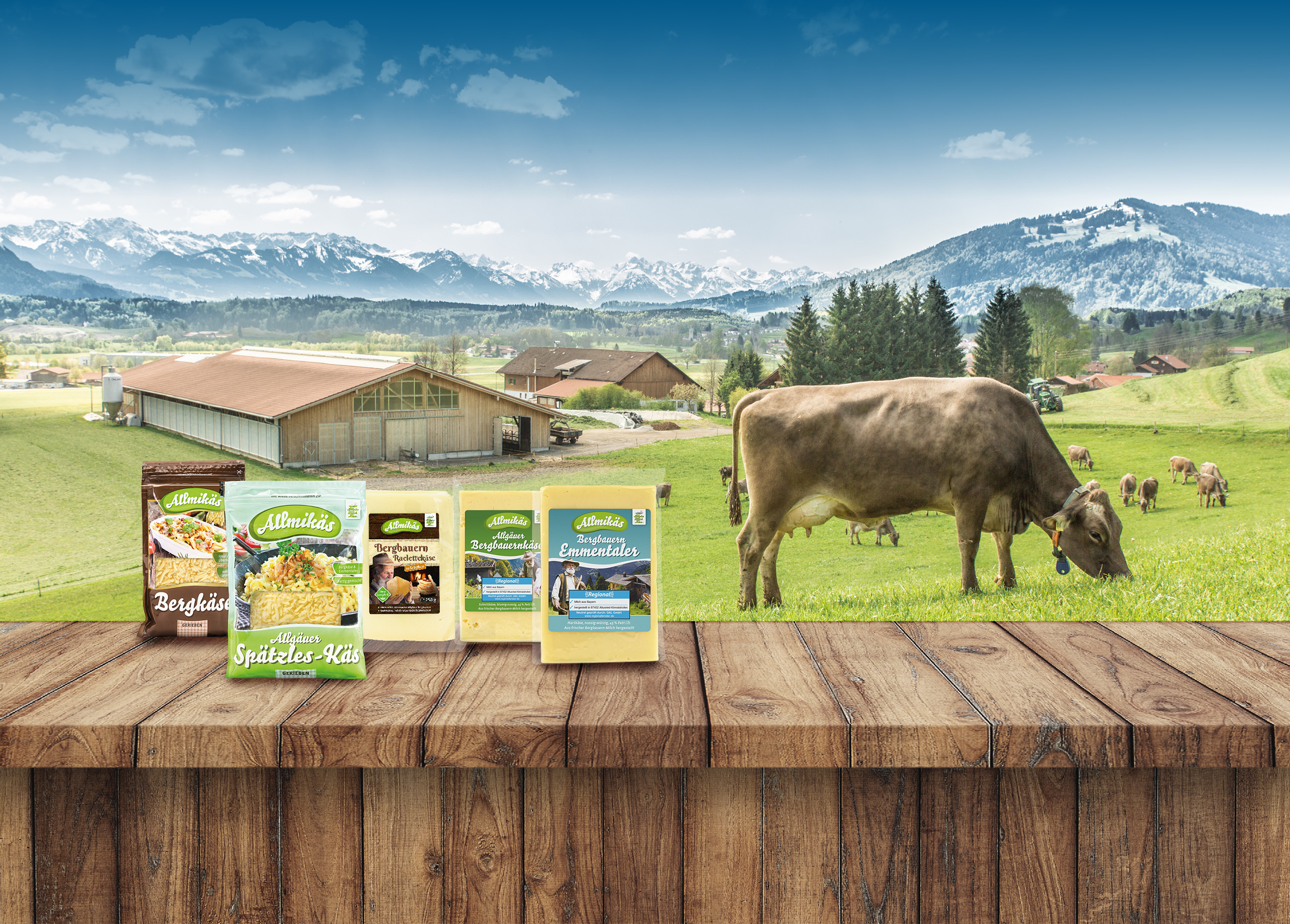 Kuhwiese mit AMK-Käse-Produkten im Vordergrund